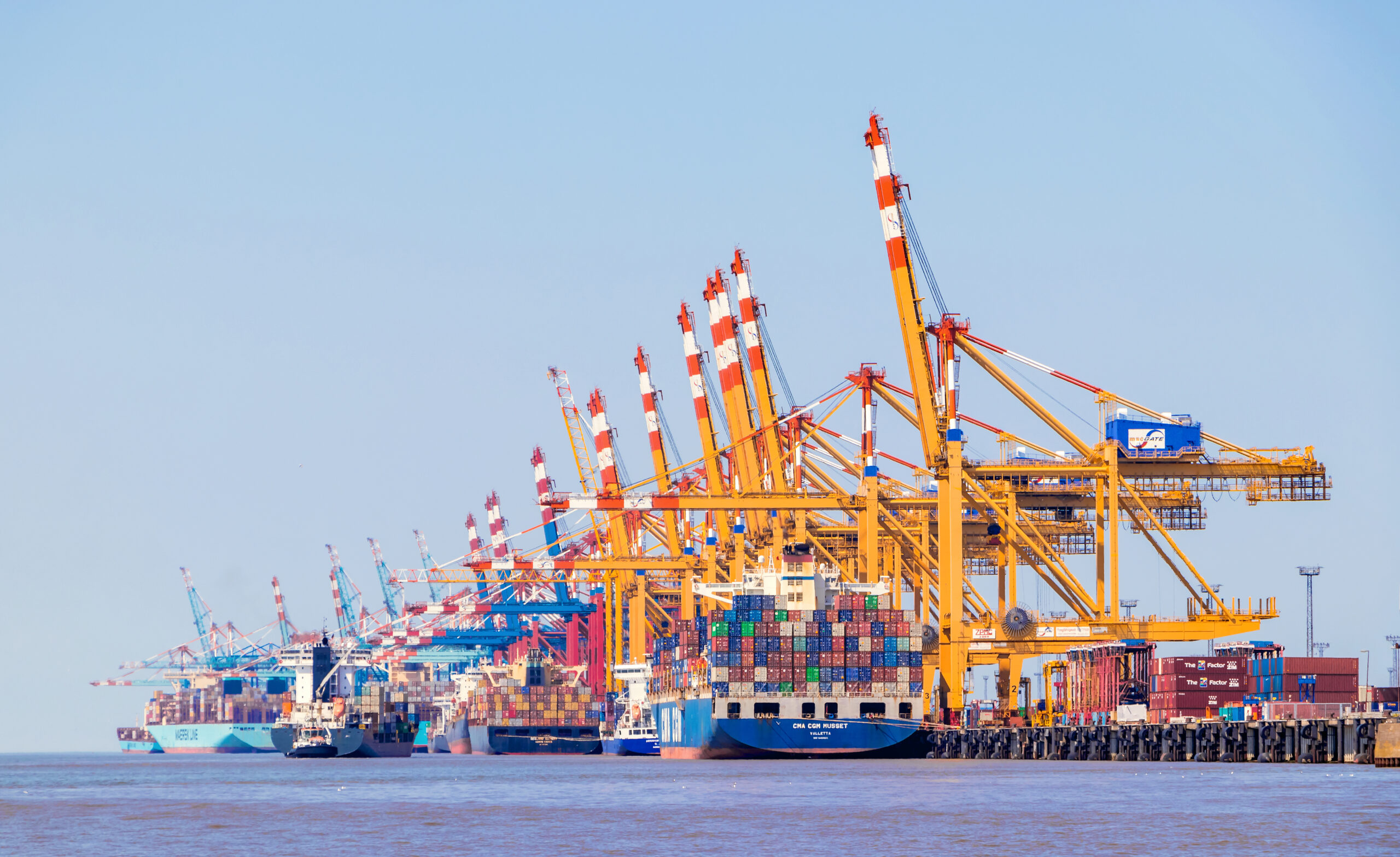 container terminal port cranes